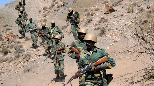 مقتل وإصابة 11 جنديًا في هجوم مسلح بجيبوتي 
