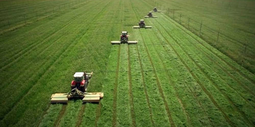 مختصون: إطلاق مبادرة «سلاسل الإمداد» يعزِّز منظومة الأمن الغذائي 