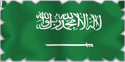 المملكة قدمت إسهامات نوعية في تلبية احتياجات القطاعات الأساسية والحيوية في اليمن 