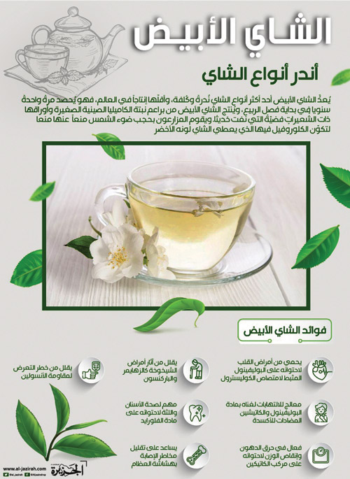 الشاي الأبيض أندر أنواع الشاي 