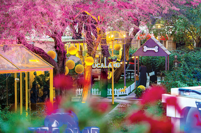 جانب من منطقة اللعب مع الكلاب في لوكالاند في ذا جروفز/ «تصوير - سامي بوقس»