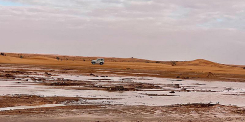  متنزهون خلال رحلاتهم البرية