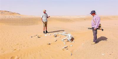 «مارك إيفانز»: الناس في المملكة يتميزون بالكرم ويتهافتون لضيافتنا 