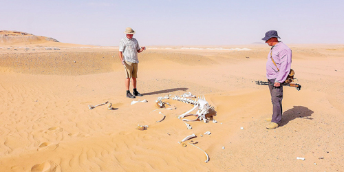  المستكشف مارك خلال رحلته الاستكشافية