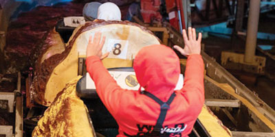 يوميات تقويم «فوق الخيال» 