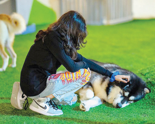 يوميات تقويم «فوق الخيال» 