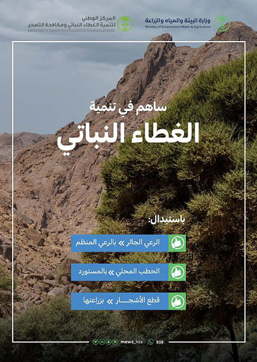 «البيئة»: 3 موجّهات رئيسة تساهم في تنمية الغطاء النباتي 