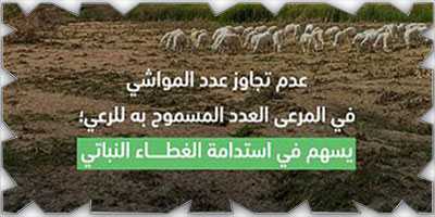 البيئة: تحديد الحمولة الرعوية يسهم في ازدهار المراعي 