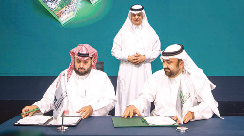 في 12 مشروعاً حول المملكة 