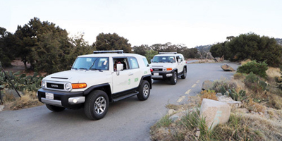 «الغطاء النباتي»: تسجيل 4000 مخالفة للوائح 