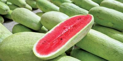 أكثر من 624 ألف طن حجم إنتاج البطيخ في المملكة سنويًّا 