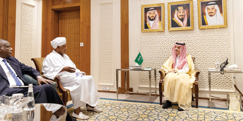 جانب من الاستقبال