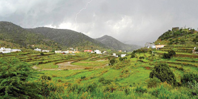 عسير.. اخضرار على امتداد البصر 