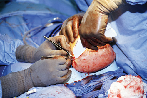 خلال 14 يوماً في المدينة المنورة: 