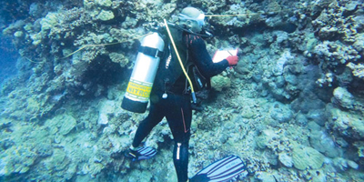 «الحياة الفطرية»: رصد 113 موقعًا لقنافذ البحر طويلة الأشواك 