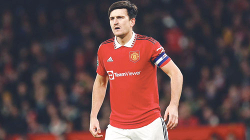 هاري ماغواير