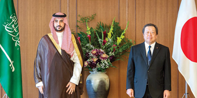 وزير الدفاع ونظيره الياباني يبحثان تعزيز التعاون في المجال العسكري والدفاعي 