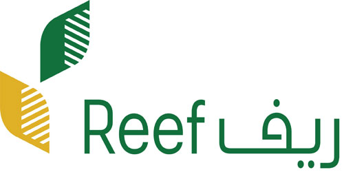 برنامج «ريف».. إنجازات وخطط طموحة لدعم التنمية الريفية المستدامة 