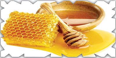قطاع العسل يستهدف إنتاج أكثر من (700) ألف طن في السنة 