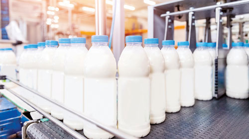 لحليب الإبل ومشتقاته 