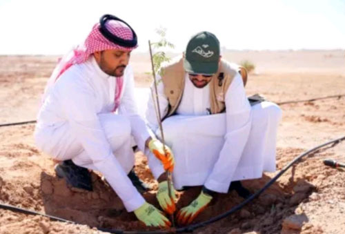 1100 متطوع ومتطوعة لزيادة الغطاء النباتي في محمية الإمام عبدالعزيز بن محمد الملكية 