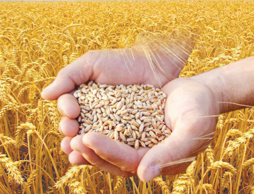 بارتفاع 121 % عن الموسم الماضي وبقيمة 2 مليار ريال 