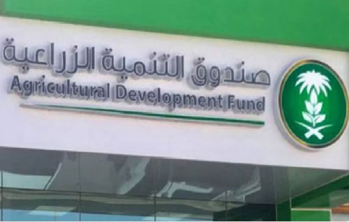 صندوق التنمية الزراعية يطلق برنامج «تمويل الشركات الناشئة الابتكارية» 