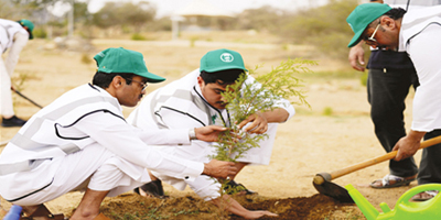 مستهدفات مبادرة السعودية الخضراء.. (400) مليون شجرة 2030 