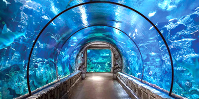 «أكواريوم فقيه» تجذب زوار «موسم جدة» 