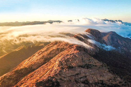 أطواد الطـائف.. شاهقـات في بحـر الضباب 