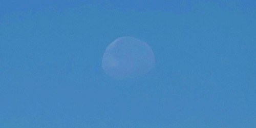 في منظر بديع.. اكتمال القمر يضفي جمالًا في سماء رفحاء 