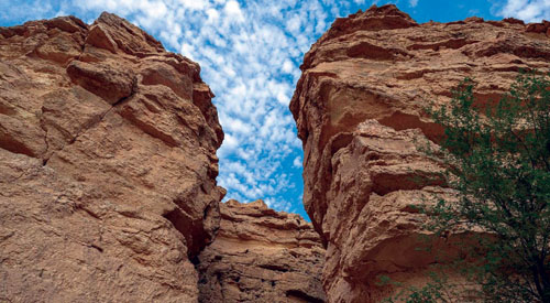 محمية الملك خالد الملكية.. تشكّلات صخرية منذ آلاف السنين 