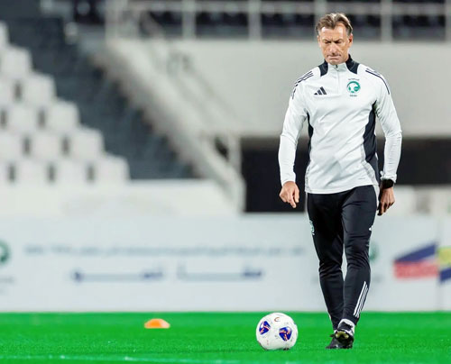  ايرفي رينارد