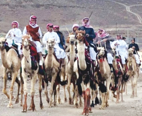 هجانة بادية تبوك تتزين وتنشد الأهازيج في العيد 