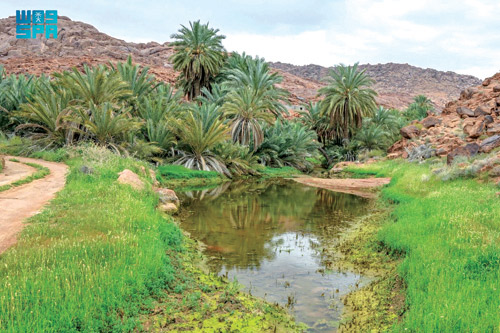 الطبيعة الخلابة في جبال أجا وسلمى