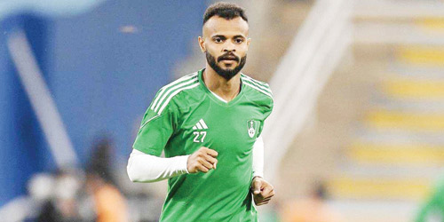 علي مجرشي