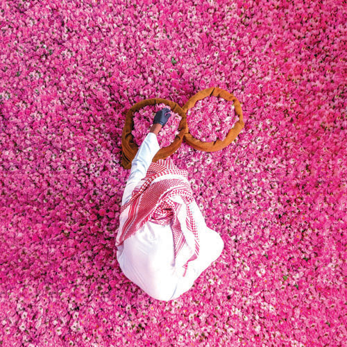 «ريف السعودية» يدعم أكثر من 400 مزارع وإنتاج ملياري وردة سنويًا 