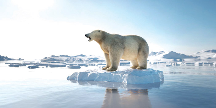 الحرارة العالية تقلص جليد القطب الشمالي لأصغر مساحة منذ 46 عامًا 