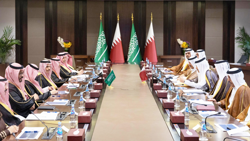 على الصعيدين الثنائي والمتعدد الأطراف في الساحة الدولية 