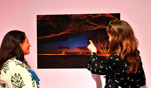 انطلاق معرضي «حيّ عينك» و «حين يهمس الضباب» بجدة 