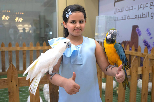 موسم ربيع عرعر بمقومات بيئية وسياحية 