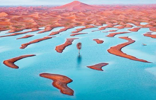  عدسة المصور: أحمد الطوقي