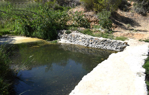 «الكُظَامة».. مصدر مائي قديم عزز التكافل الاجتماعي في عسير 