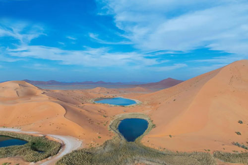 المملكة تنضمّ للاتفاقية الدولية للأراضي الرطبة 