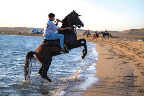 شاطئ «هبّان» جنوب الوجه.. وجهة الفرسان وعشاق الخيل 