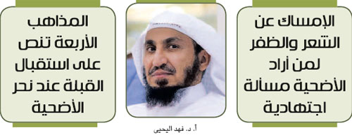 كشفت أن أفضل الأضاحي من يضحي بناقة كاملة.. دراسة علمية: 