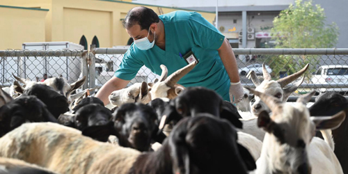  جانب من اعمال المركز