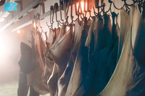 تعزيزًا للتكافل الاجتماعي 