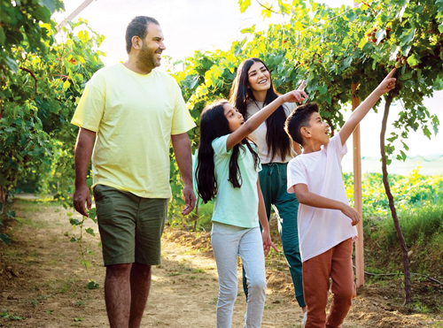 صيف استثنائي بين عسير والبحر الأحمر 