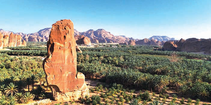 جمال العُلا يتجلّى بين صلابة الصخور وامتداد النخيل 